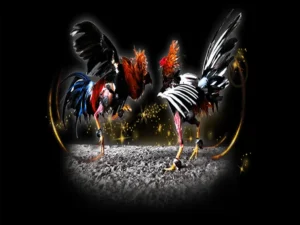 Hướng Dẫn Chơi Đá Gà Sabong Tại King88 Từ Chuyên Gia