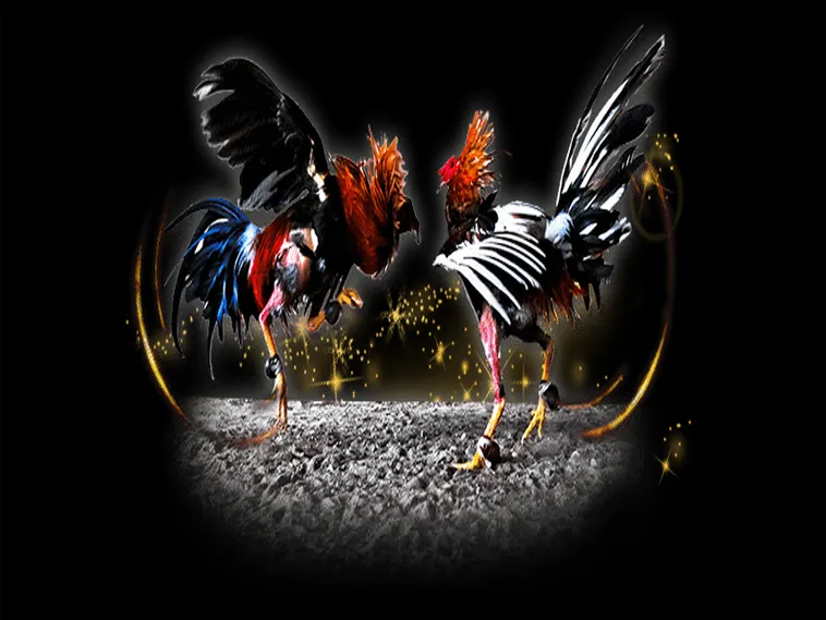 Hướng Dẫn Chơi Đá Gà Sabong Tại King88 Từ Chuyên Gia 1 Hướng Dẫn Chơi Đá Gà Sabong Tại King88 Từ Chuyên Gia