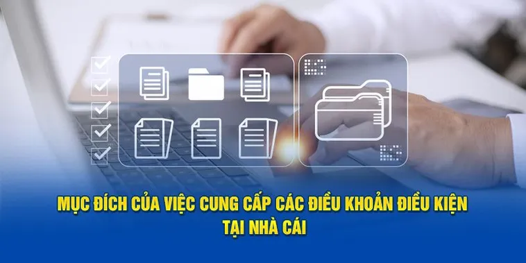 Điều khoản sử dụng
